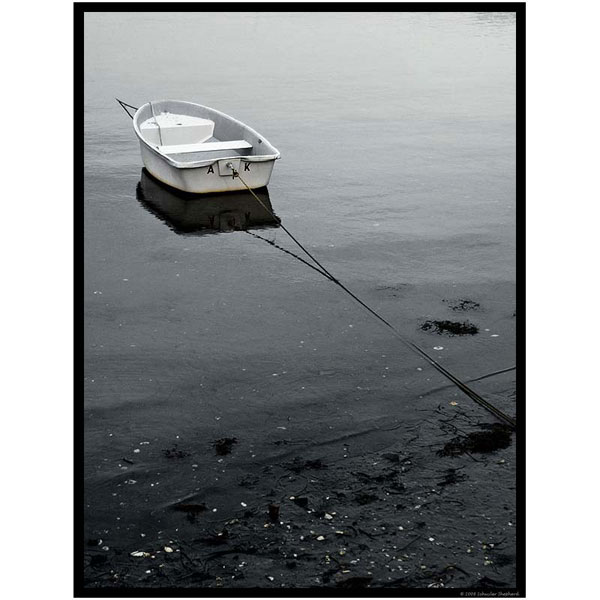 Slideshow Image 4