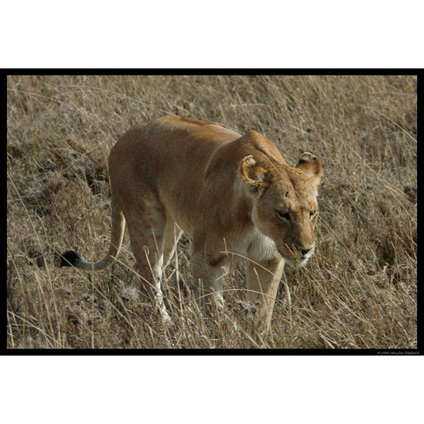 Slideshow Image 5