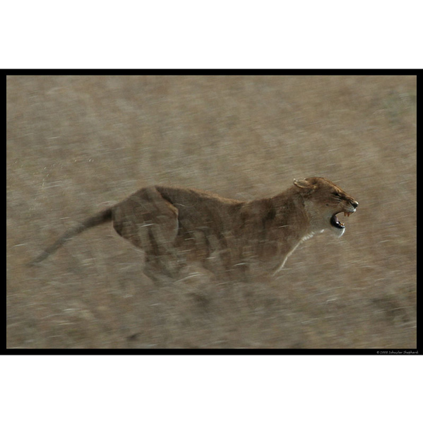 Slideshow Image 11