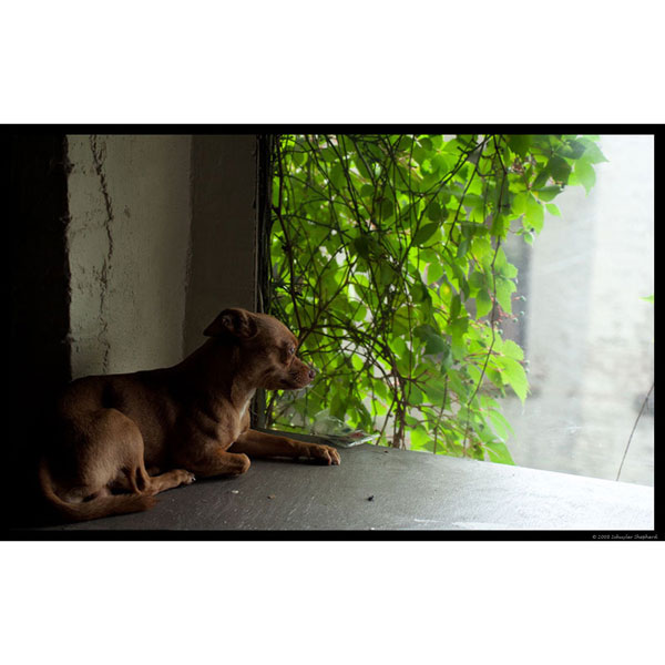 Slideshow Image 10